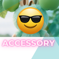 Accessory